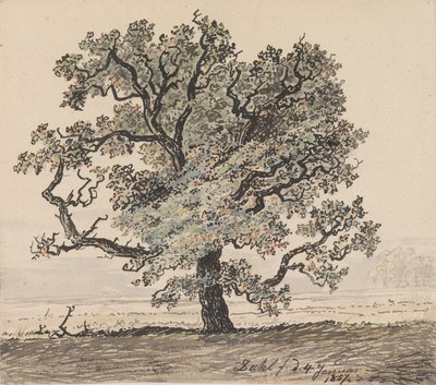 Furuträd på en slätt av Johan Christian Dahl