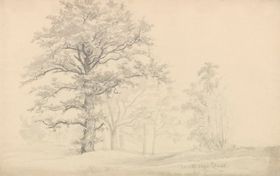 Lövträd av Johan Christian Dahl