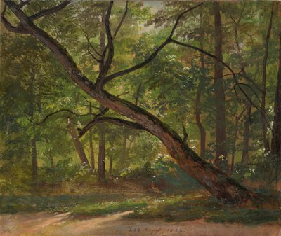 Parti i Stora trädgården vid Dresden av Johan Christian Dahl