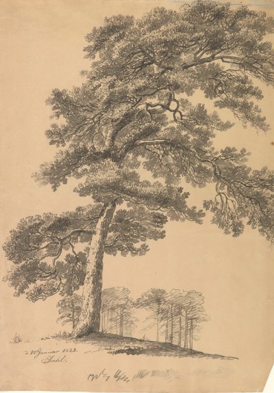 Tall av Johan Christian Dahl
