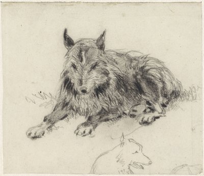 Liggande fårhund av Johan Daniël Koelman