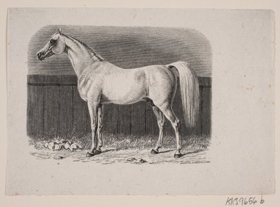 En häst av Johan Frederik Rosenstand