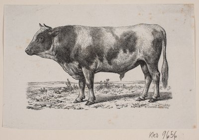 En tjur av Johan Frederik Rosenstand