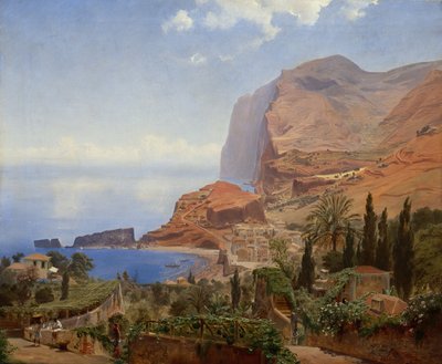 Från Madeira av Johan Fredrik Eckersberg