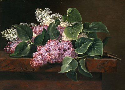 Lila på en avsats, av Johan Laurents Jensen