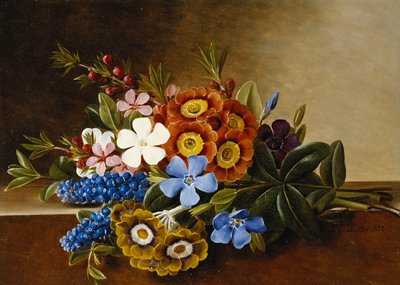 Periwinkle, Auricula och Grape Hyacinths on a Marble Ledge, 1882 av Johan Laurents Jensen
