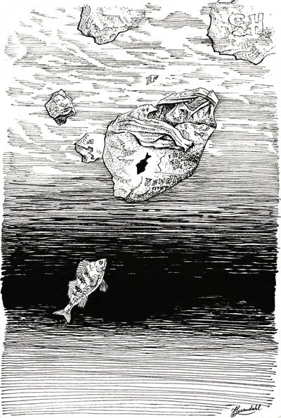 Fisk under plast av Johan Liewendahl