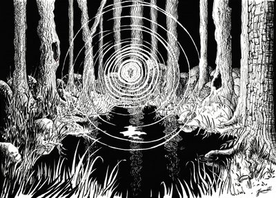 Mystiska skogsvågor av Johan Liewendahl