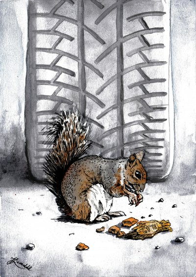 Ekorre av Tire Track av Johan Liewendahl