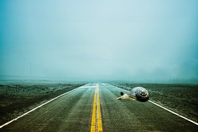 2020 vägen tillbaka, 2020 (digital fotokonst) av Johan Lilja