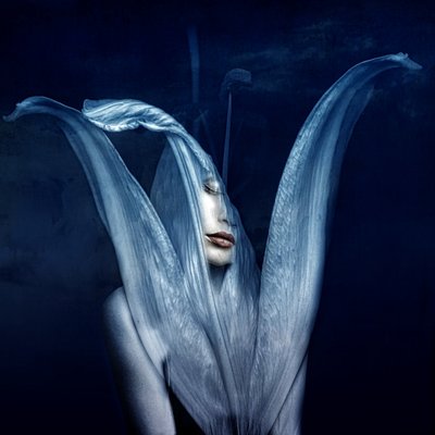 Beautiful monsters 3, 2018 (digital fotokonst) av Johan Lilja