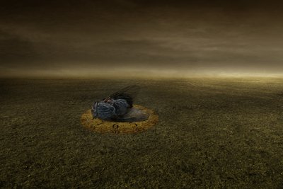 Slut på ett mål, 2013 (fotografi) av Johan Lilja