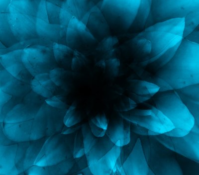 Blomsterblå, 2016 (digitalt konsttryck) av Johan Lilja