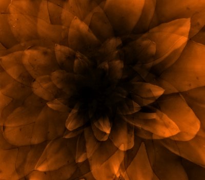 Blommaorange, 2016 (digitalt konsttryck) av Johan Lilja