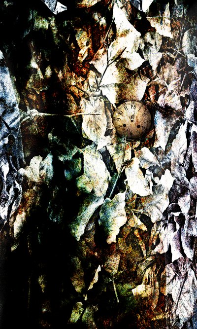 Heart, 2012 (fotomanipulation) av Johan Lilja