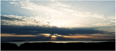 Seaside, 2018 (fotografi) av Johan Lilja