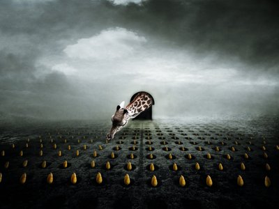 Ttulip thief 2, 2013 (fotografi) av Johan Lilja