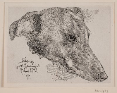 Hundehoved, Snip av Johan Thomas Lundbye