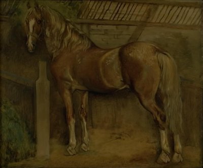 Sextonårig hingst av rasen Knabstrup av Johan Thomas Lundbye