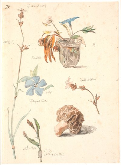 Studietidning med blommor och växter av Johan Thomas Lundbye