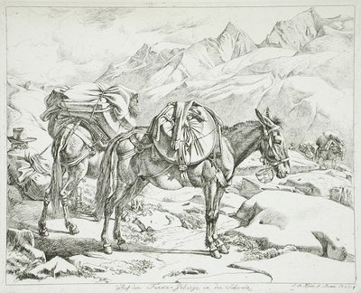  av Johann Adam Klein