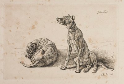 Gerilla, två hundar av Johann Adam Klein