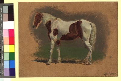 Pferdestudie av Johann Adam Klein