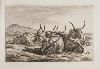 Liggande oxar av Johann Adam Klein