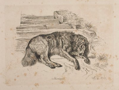 Schweizer, en hund av Johann Adam Klein