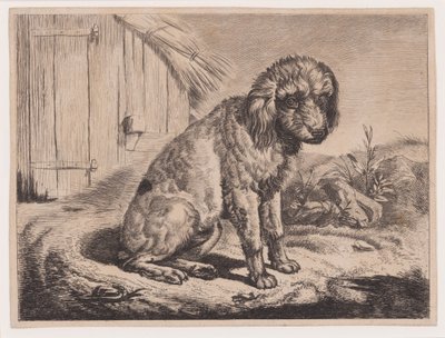 Sittande hund av Johann Adam Klein