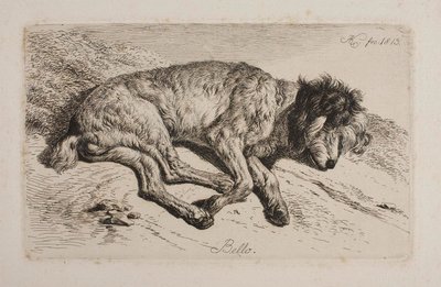 Sovande hund, Bello av Johann Adam Klein