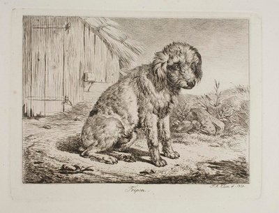 Pudeln Fripon av Johann Adam Klein