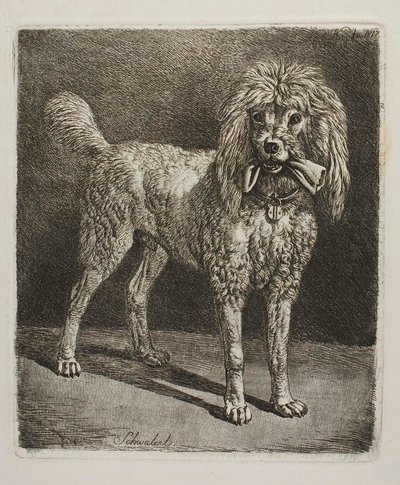 Pudeln Schwalerl av Johann Adam Klein