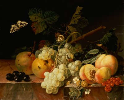 Frukt på en marmoravsats med fjärilar, snigel och larv (olja på duk) av Johann Amandus Wink