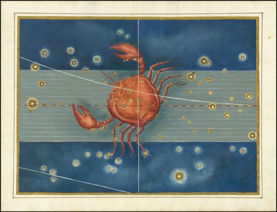 Cancer - Johann Bayer av Johann Bayer