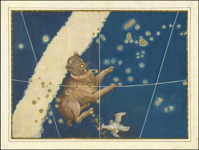 Canis Major - Johann Bayer av Johann Bayer