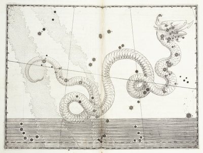 Constellation of Serpens Head and Serpens Tail, c.1603 av Johann Bayer