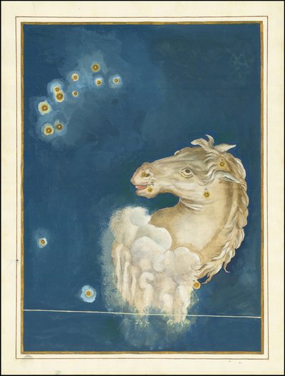 Equuleus - Johann Bayer av Johann Bayer