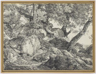 I parken Palazzo Chigi, Ariccia, 1818 (grafit & svart krita på lagt papper) av Johann Christian Reinhardt