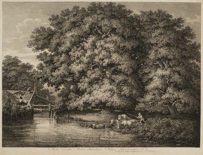 En bonde som kör sin boskap i vattnet av Johann Christian Reinhart