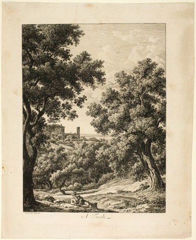 swedish av Johann Christian Reinhart
