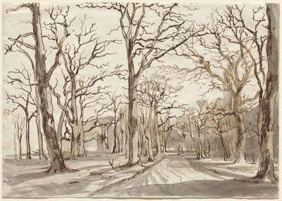 En skogsstig i Rosenthal på vintern av Johann Christian Reinhart