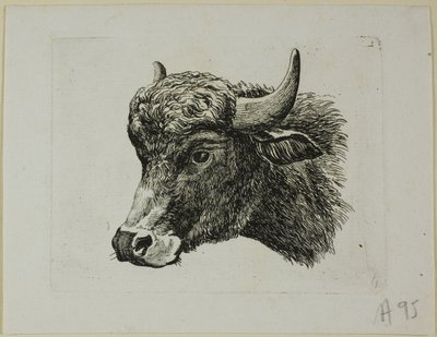 Buffalo Head Facing Left, från Die Zweite Thier Folge av Johann Christian Reinhart