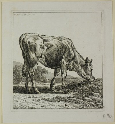 Calf Feeding, från Die Zweite Thiernahme av Johann Christian Reinhart