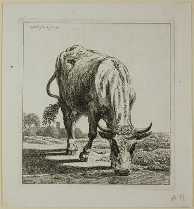 Cow Drinking, från Die Zweite Thiernahme av Johann Christian Reinhart