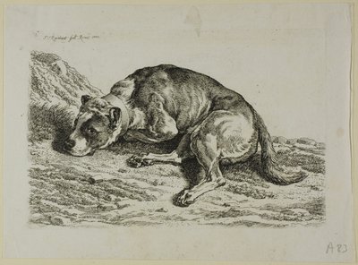Dog Laying Down, från The Second Succession of the Thief av Johann Christian Reinhart