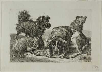 Fyra hundar, från Die Zweite Thier Folge av Johann Christian Reinhart