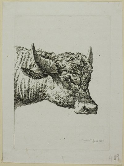 Head of a Buffalo, från Die Zweite Thiernahme av Johann Christian Reinhart
