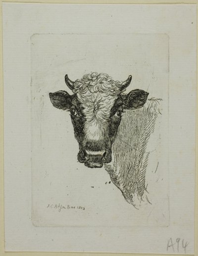 Chef för en ung tjur, från Die Zweite Thiernahme av Johann Christian Reinhart