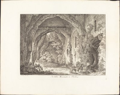 I Villa Mecenate av Johann Christian Reinhart